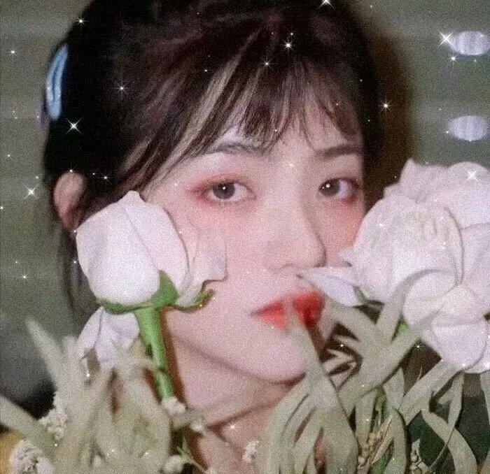 黑玫瑰公寓